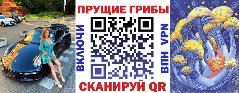 Галлюциногенные грибы прущие грибы omg зеркало Новосиль